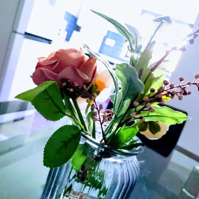 Beautiful Modern Apartment On Wick Lane 런던 외부 사진